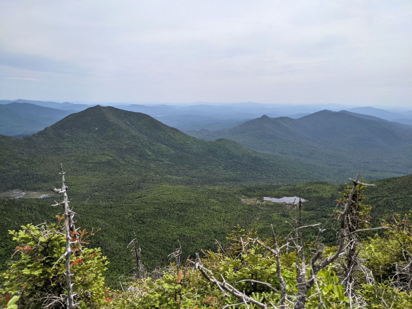 Redfield summit.jpg